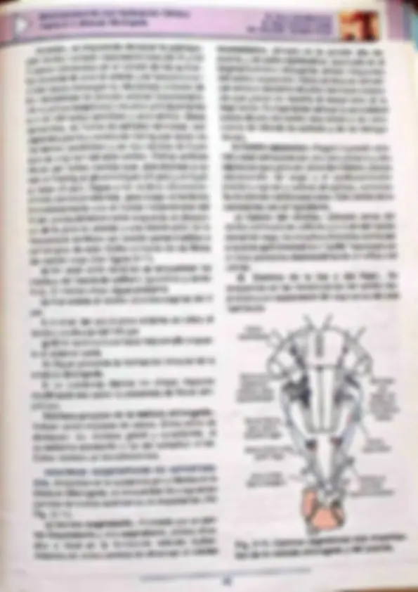 pf30
