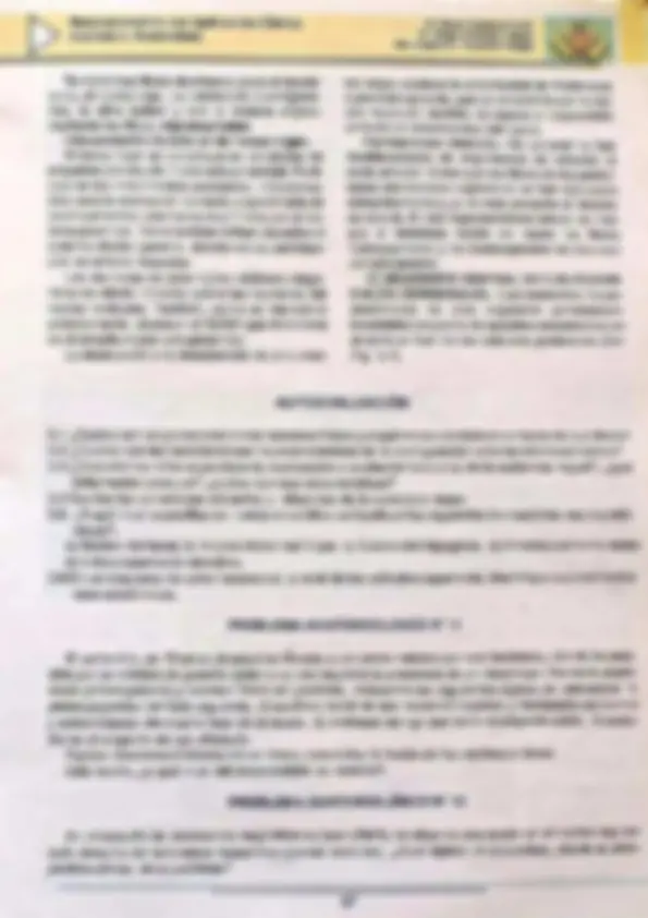 pf46