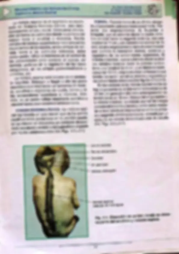 pf14