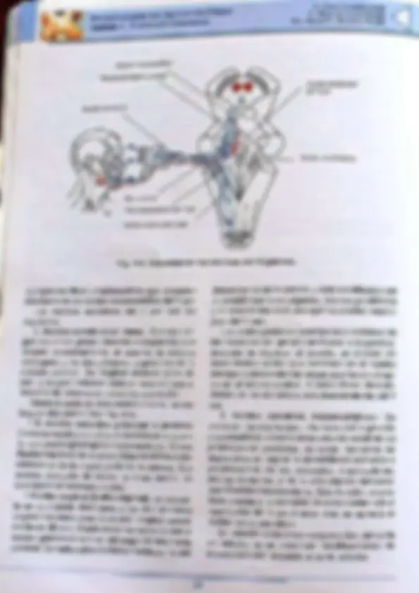 pf39