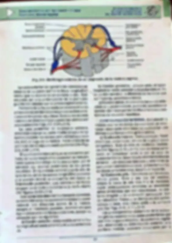 pf18