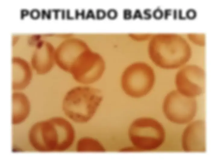 pf50