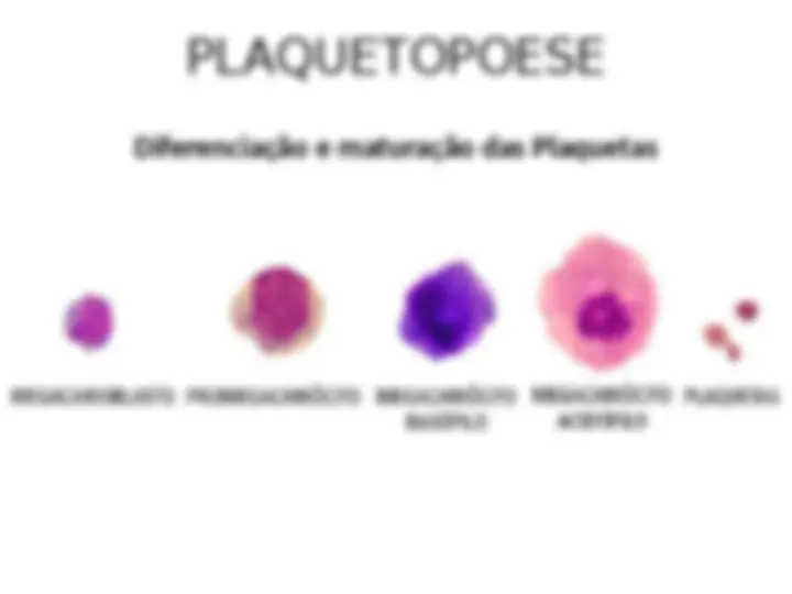 pf3e