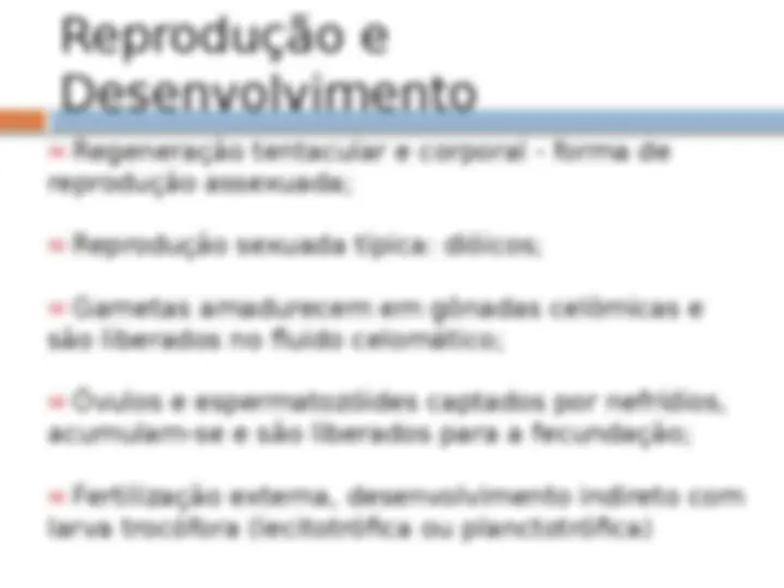 pfe