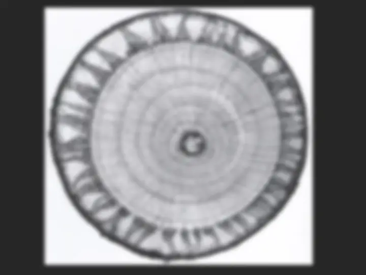 pf18