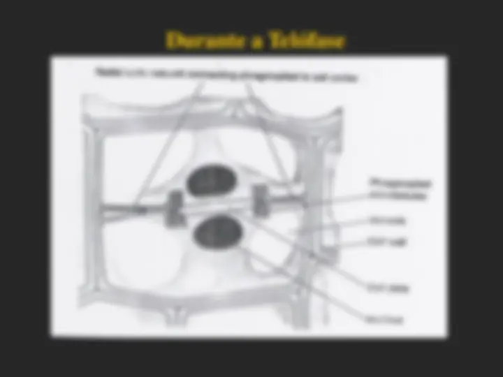 pf13