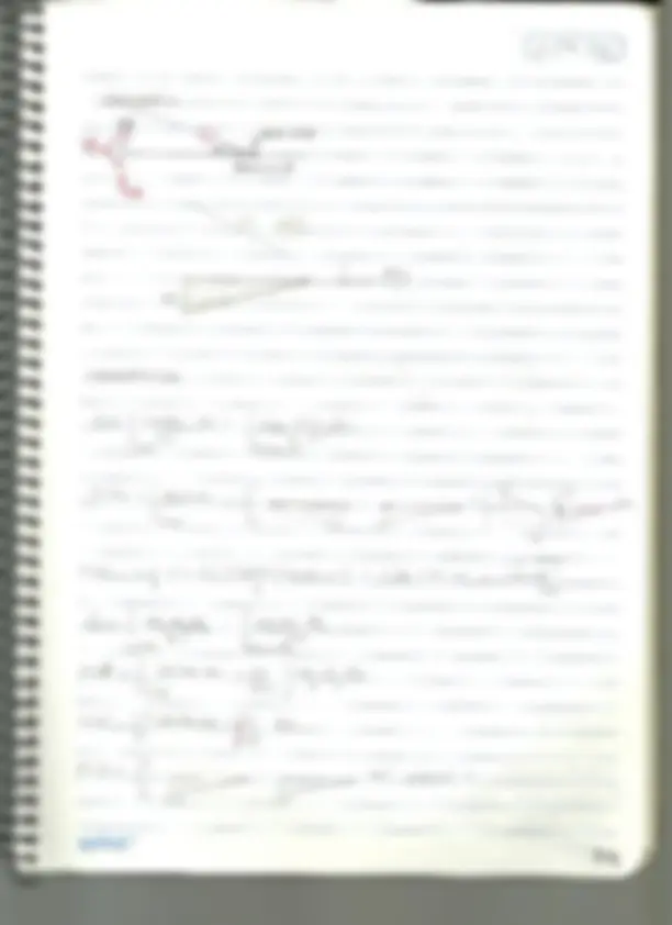 pf59