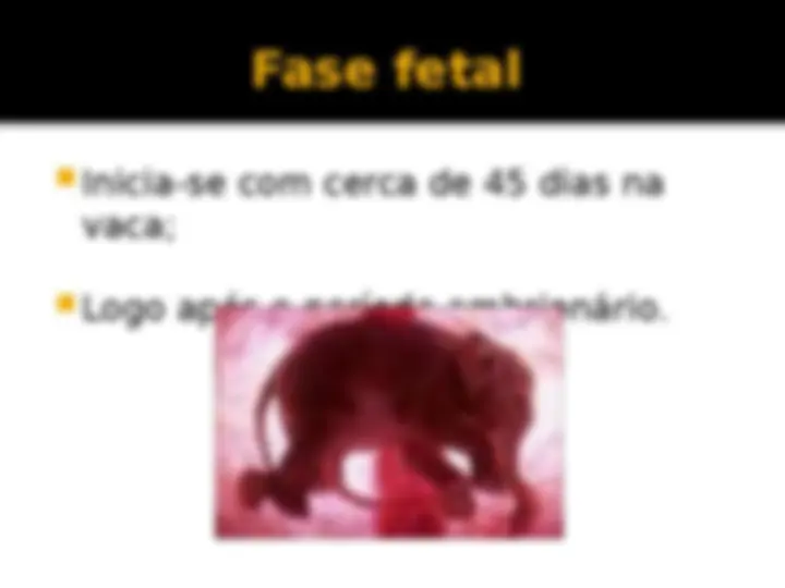 pff