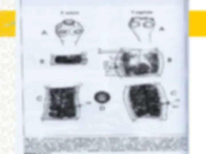 pf8