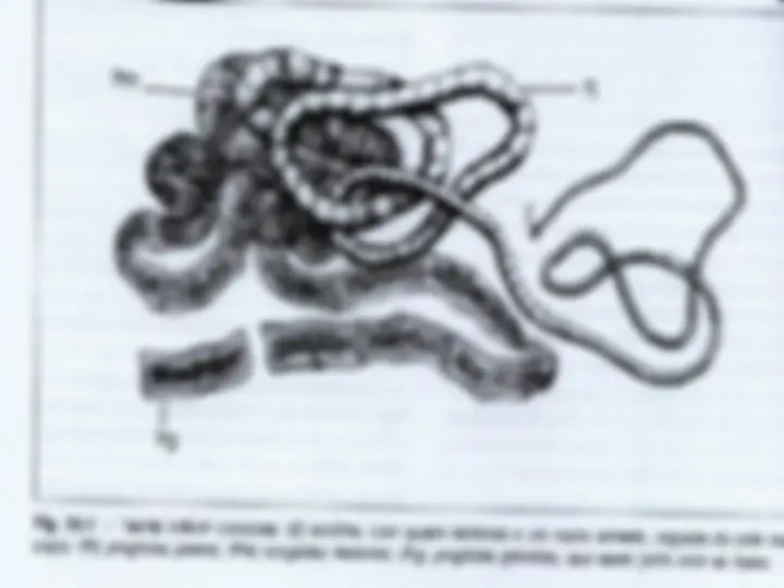pf5