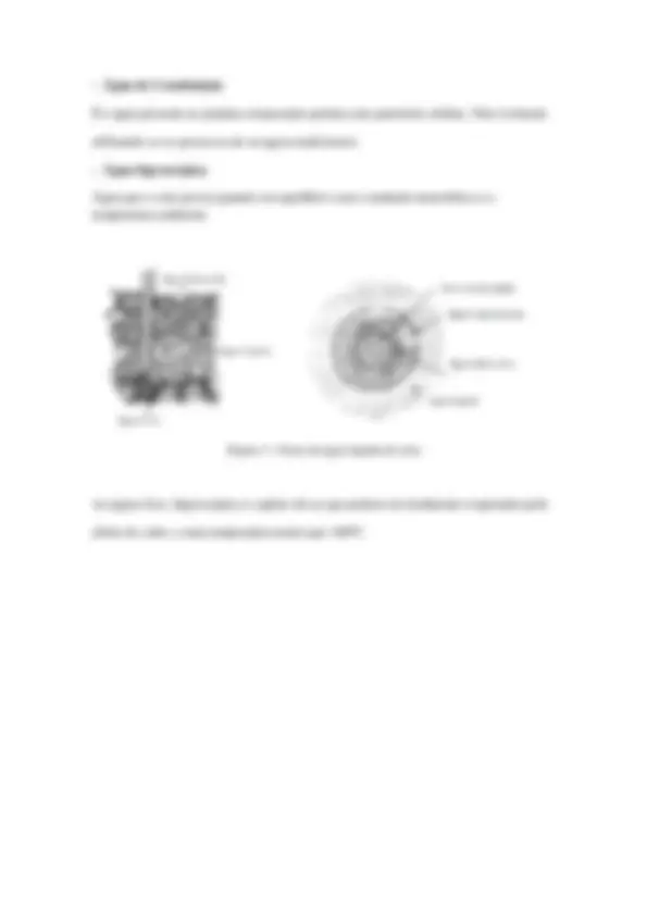 pf5