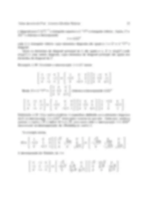 pf24