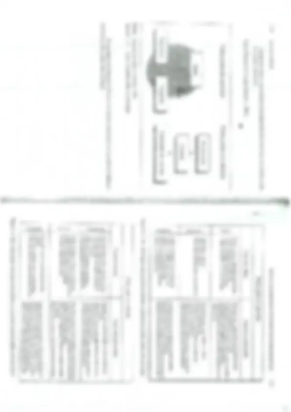 pf54