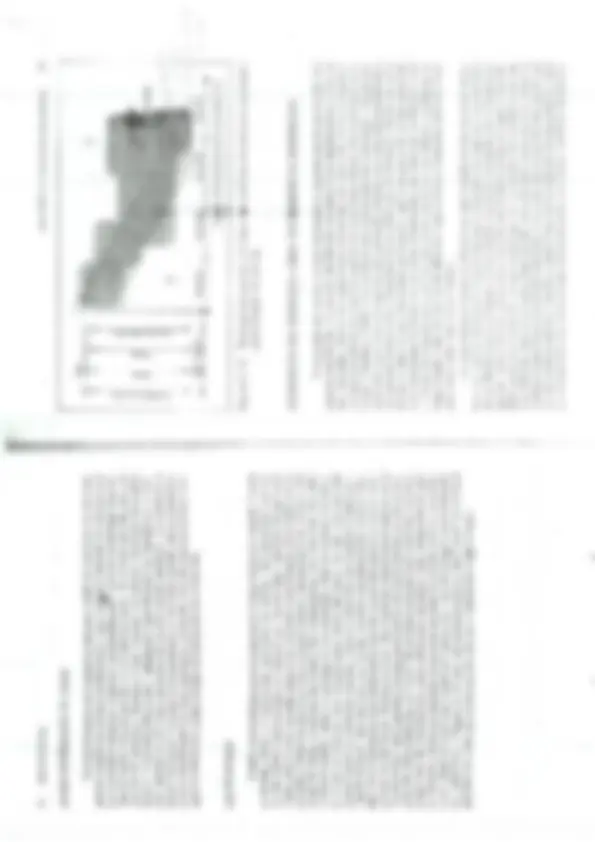 pf23