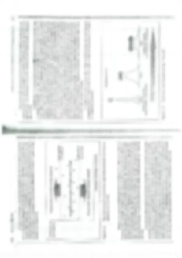 pf4d