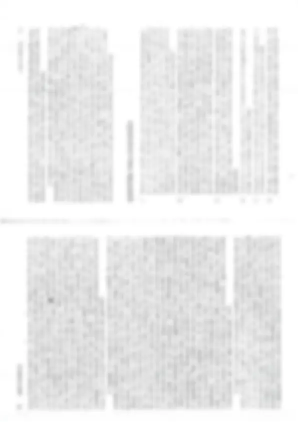 pf13