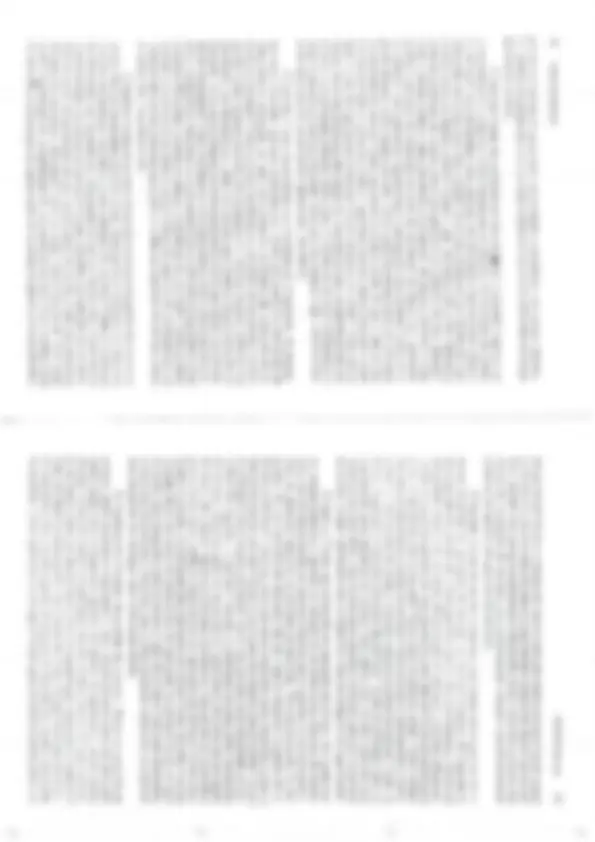 pf12