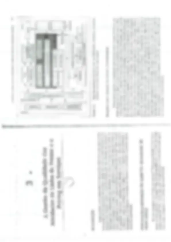 pf29