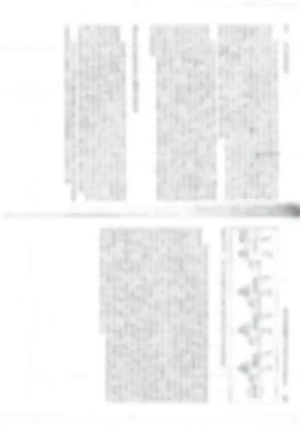 pf54