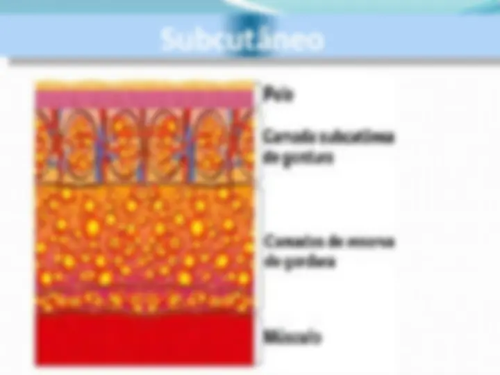 pf8