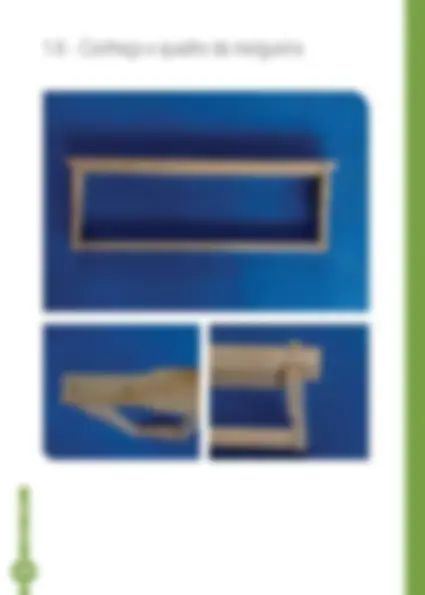 pf19
