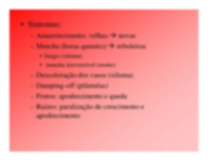 pf19