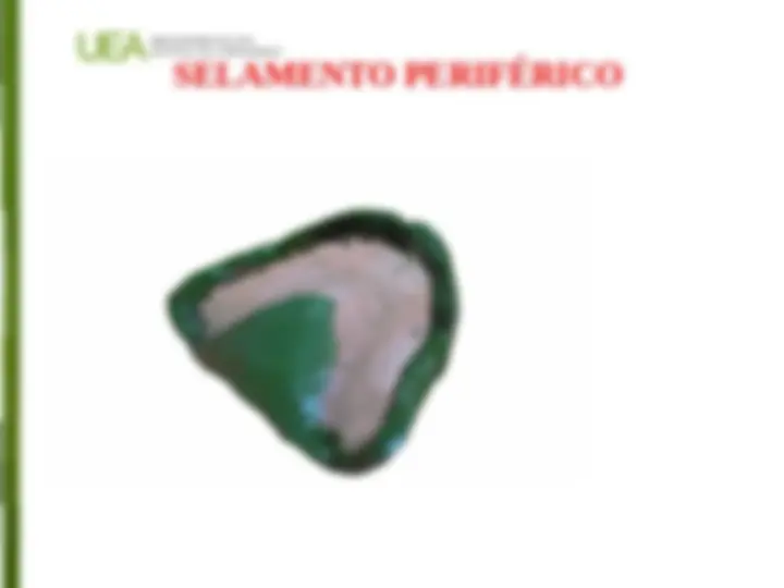 pf16