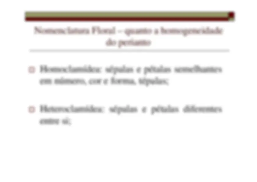pf19