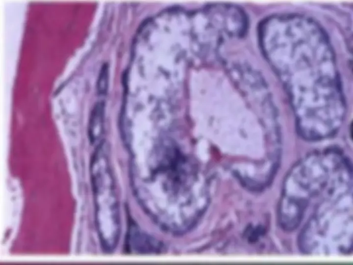 pf36