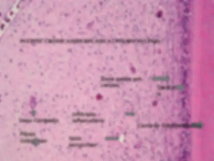 pf4