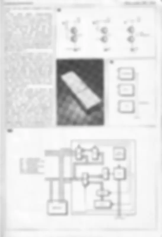 pf33