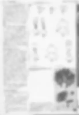 pf24