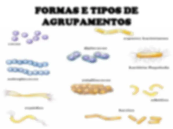 pf4