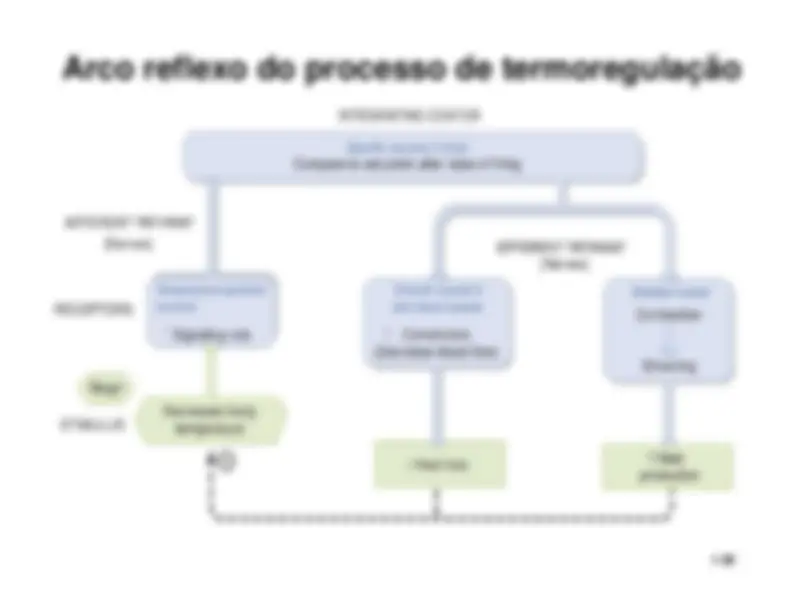 pf1e