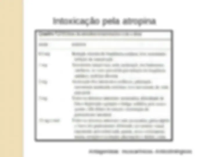 pf26