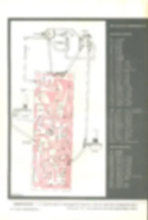 pf2f