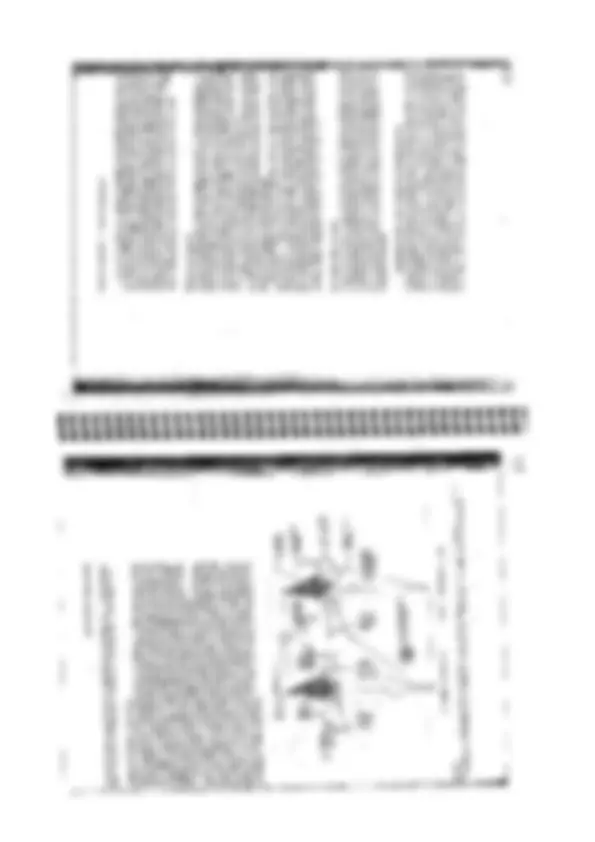 pf23