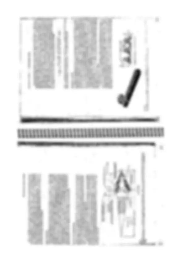 pf22