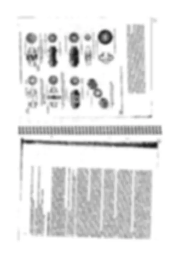 pf27