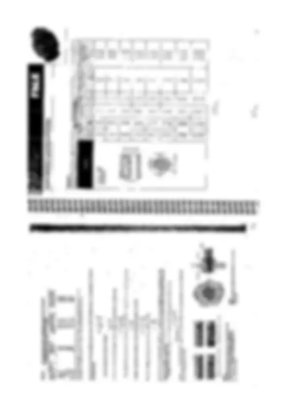 pf29