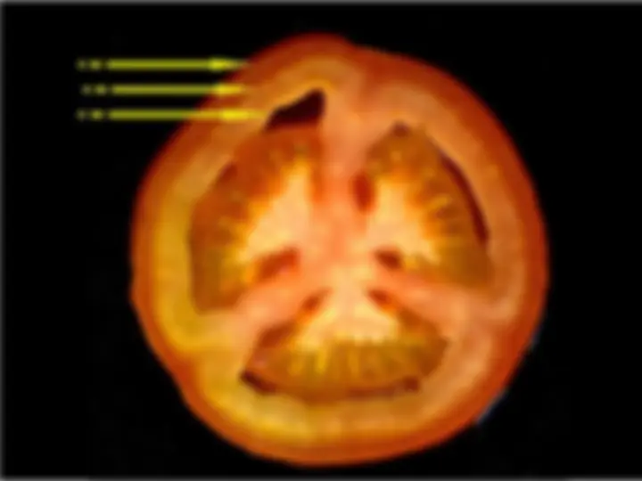 pfa