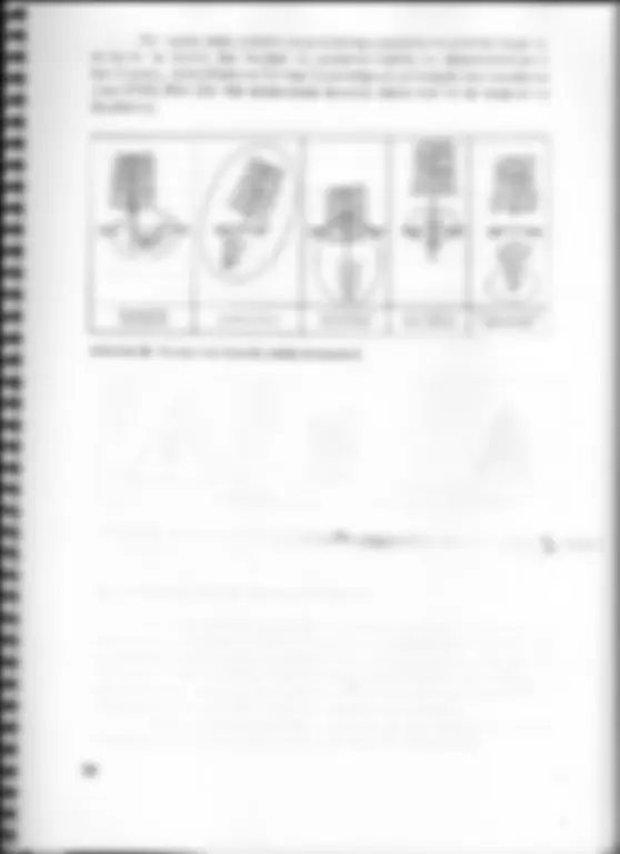 pf42