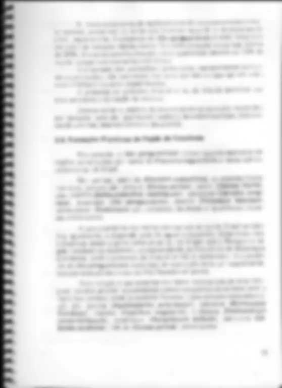 pf19