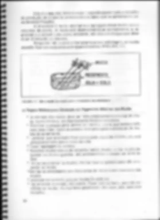 pf2e