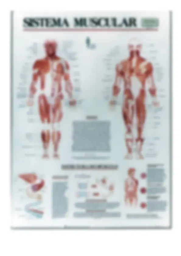 pfa