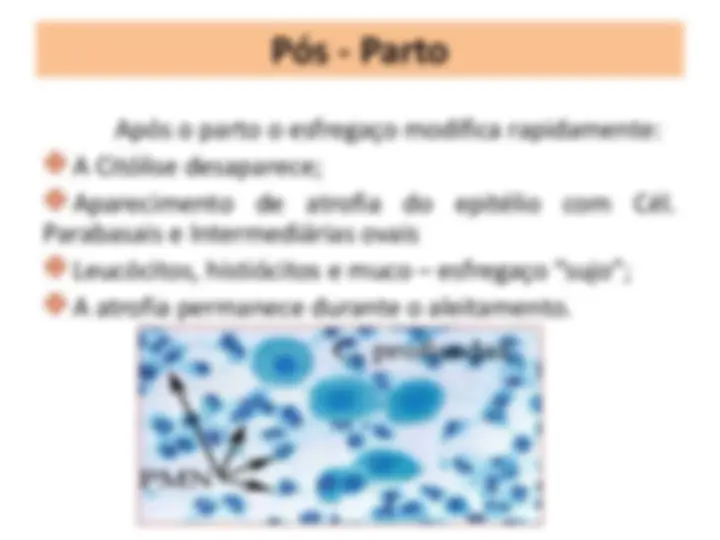pf12