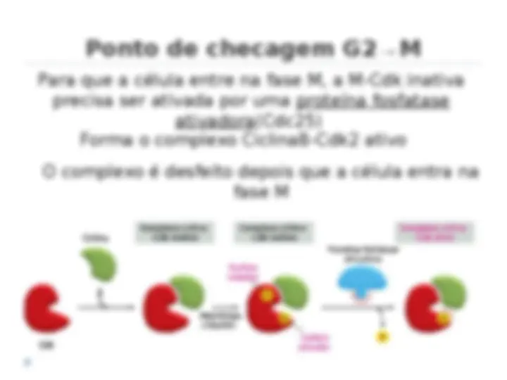 pf13
