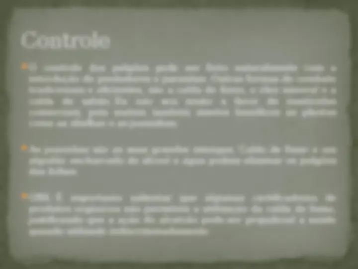 pfe
