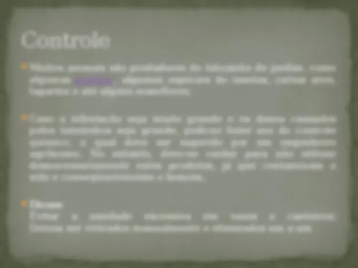 pf23