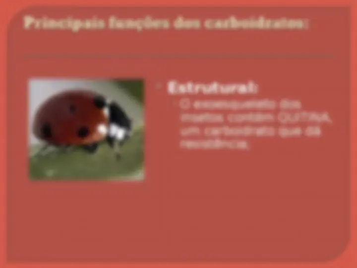 pfe